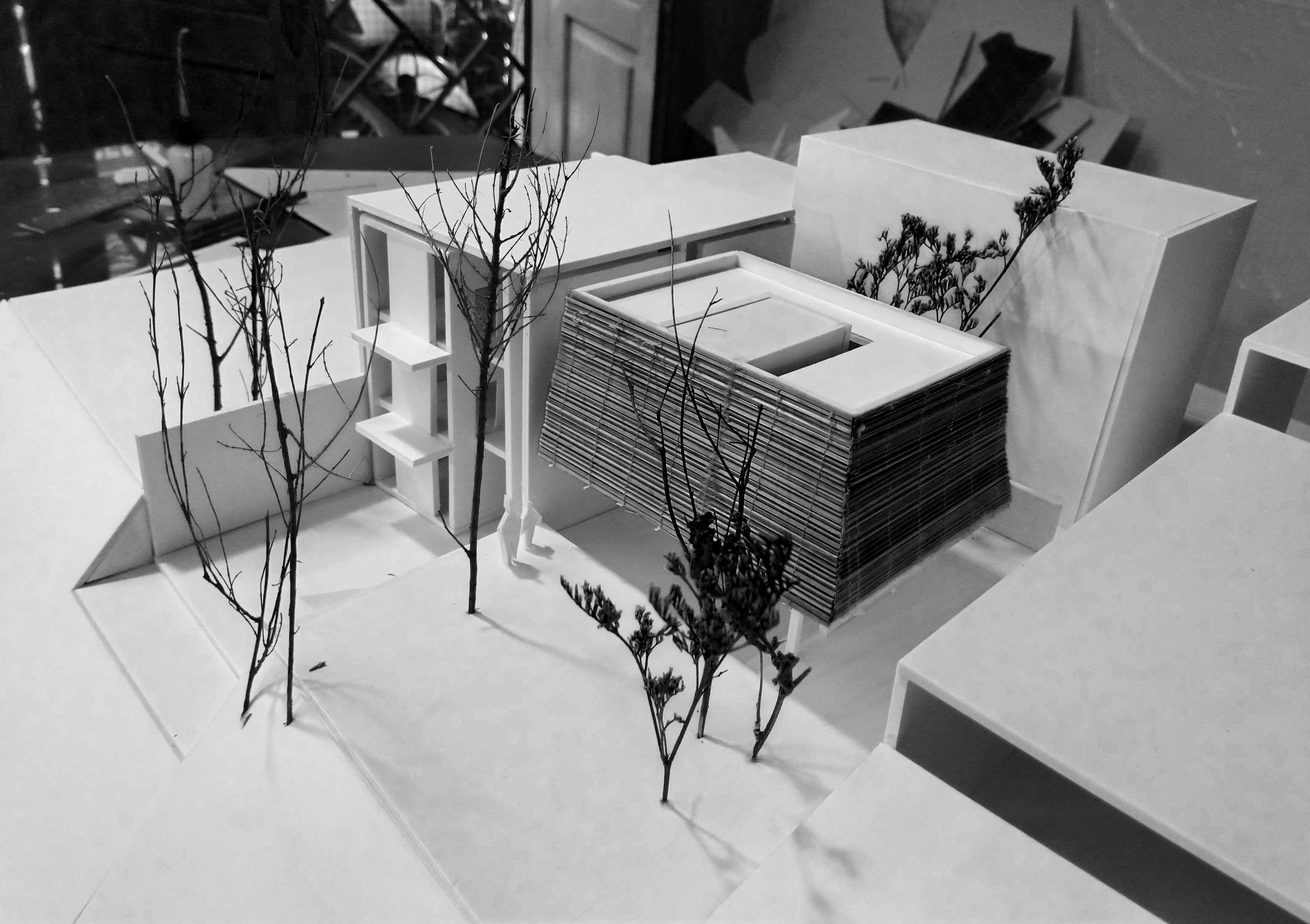 Dự án kiến trúc LB HOUSE - VuVi Va